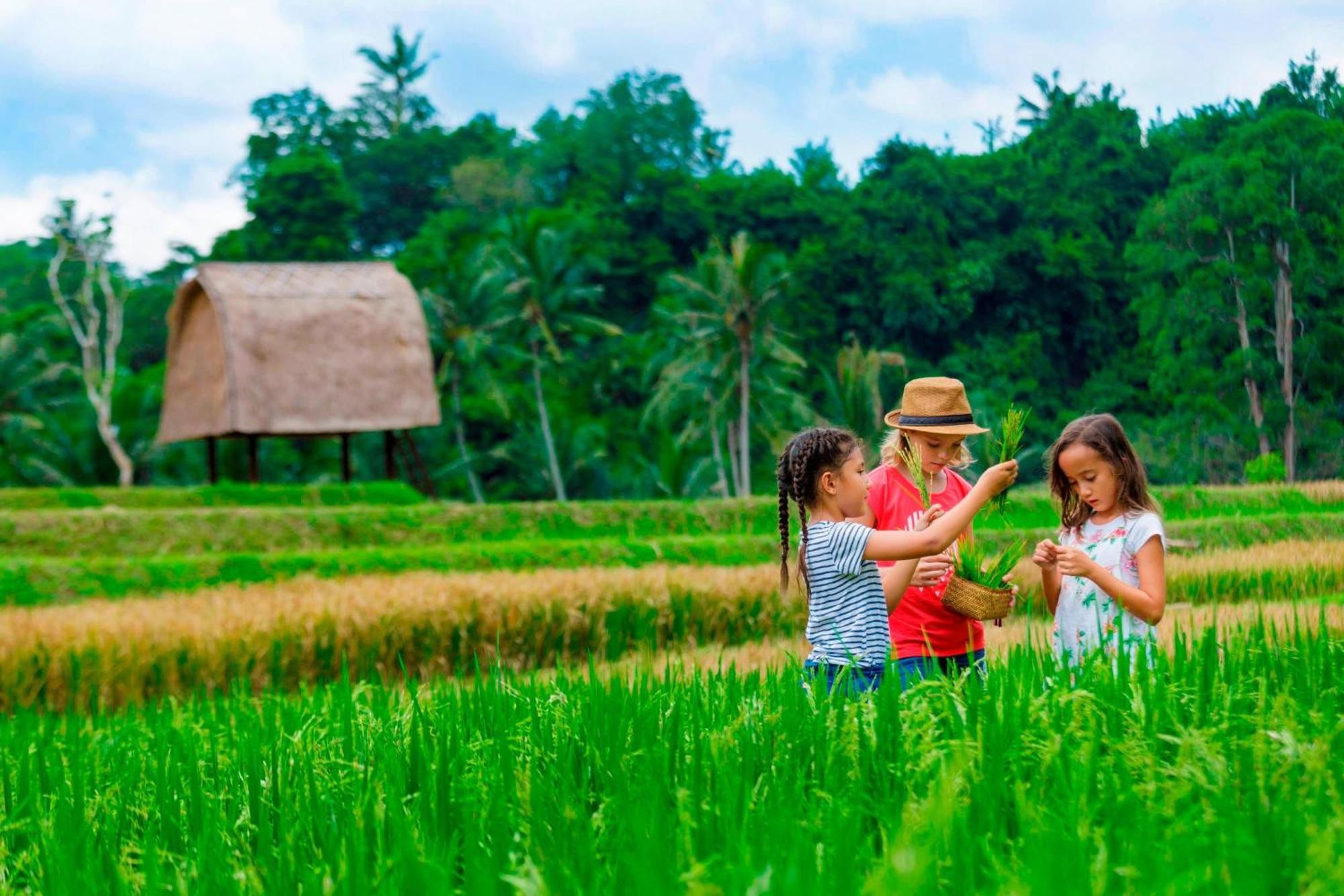 Mandapa, A Ritz-Carlton Reserve Ubud Kültér fotó