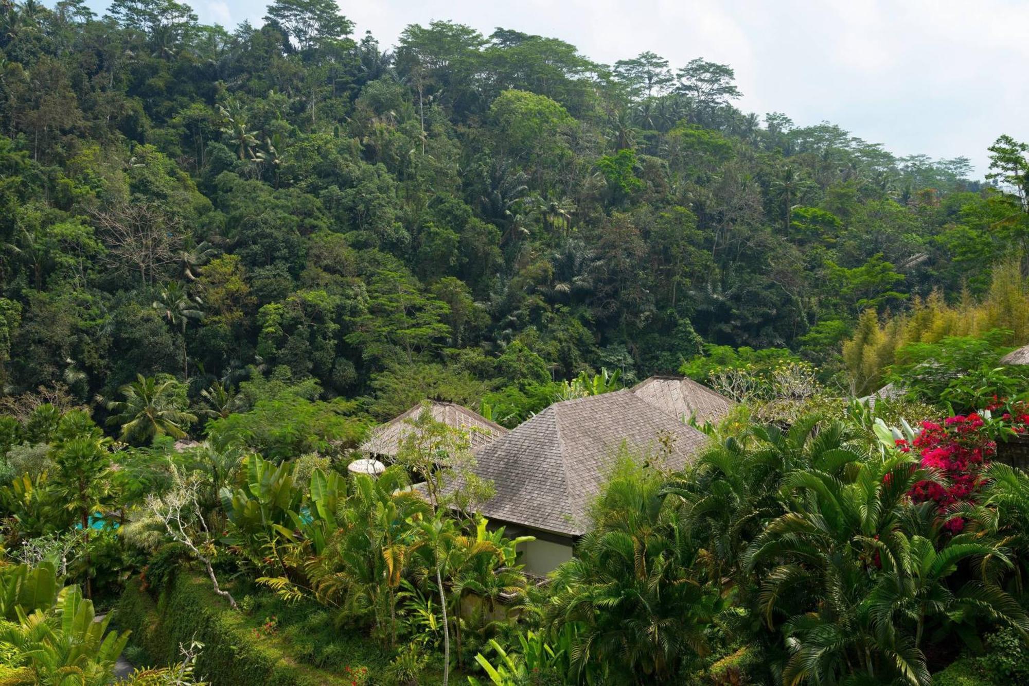 Mandapa, A Ritz-Carlton Reserve Ubud Kültér fotó