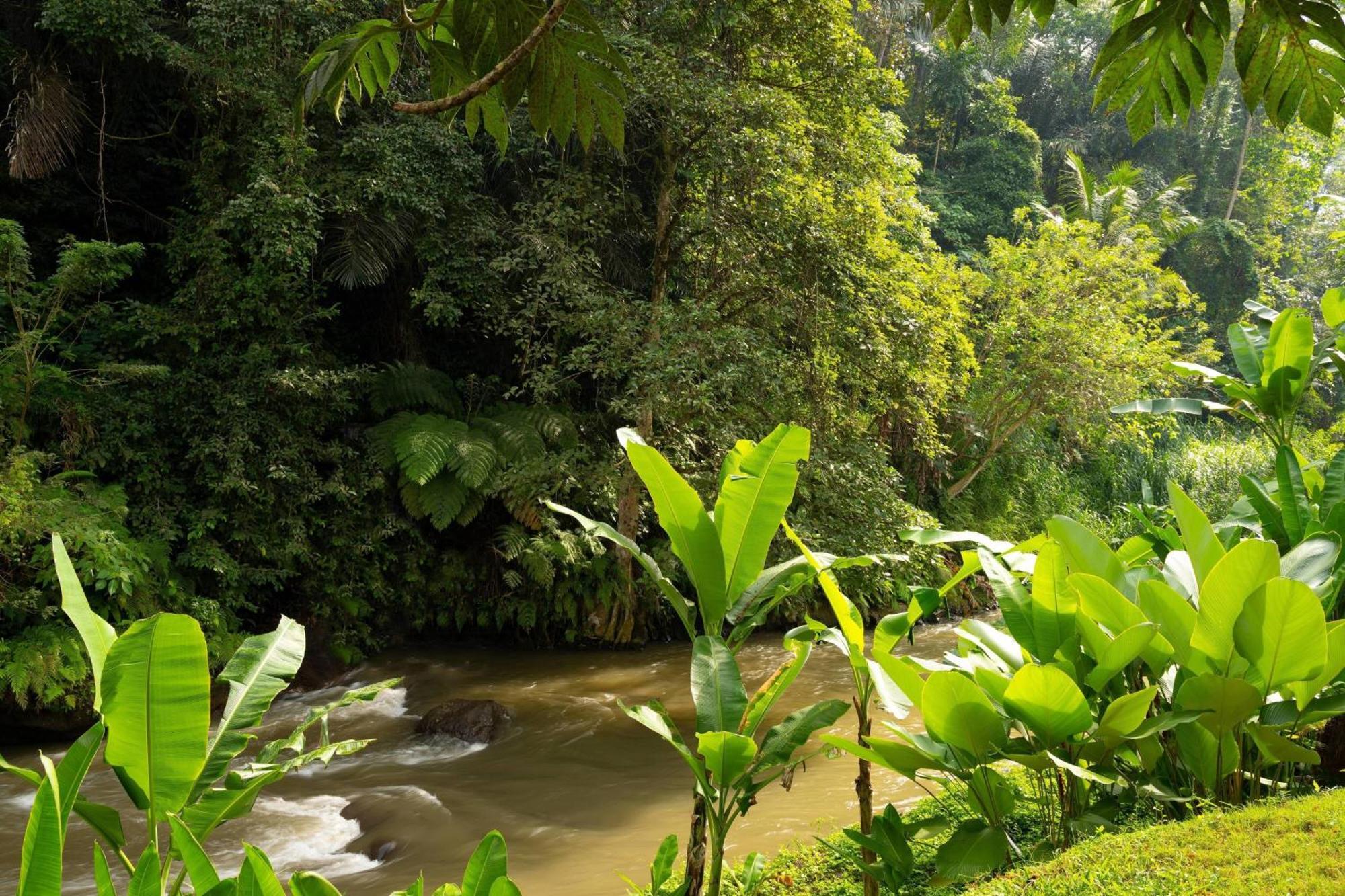 Mandapa, A Ritz-Carlton Reserve Ubud Kültér fotó